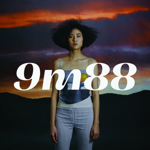 陆小莹阿庆的小说最新
