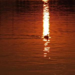 小箩莉XXX在线观看
