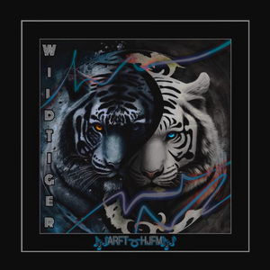 魅魔丝袜脚含精
