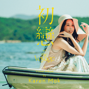 A久久96视频免费
