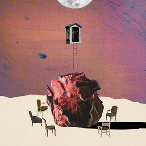 爱妻艺官网登录入口网址
