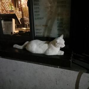 美人的改造玩具工厂小说
