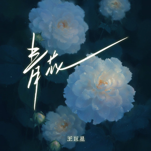 八奶酱纪录片在线观看
