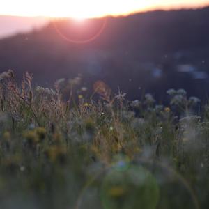 妹妹帮我用脚射
