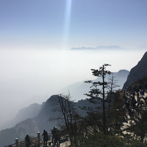 久久99青青精品免费观看
