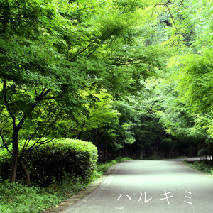 人妻韵云厨房里
