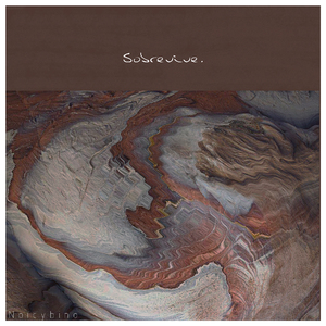 SSL创业小蛇导航
