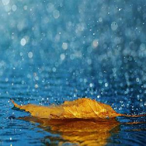 性感美女啪啪视频
