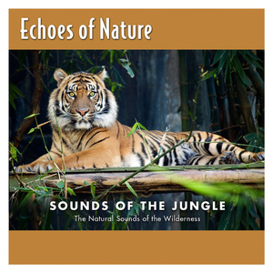 美女全身赤裸被塞汗强奸
