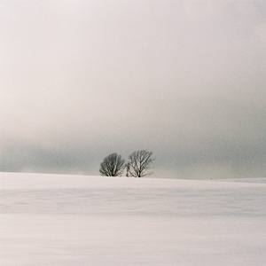 欧洲柔术大胆无码视频
